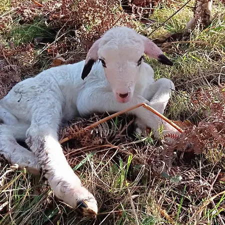 Σπίτι διακοπών L'oree Du Bois - Maison Individuelle Avec Jacuzzi Prive Frayssinet-le-Gélat