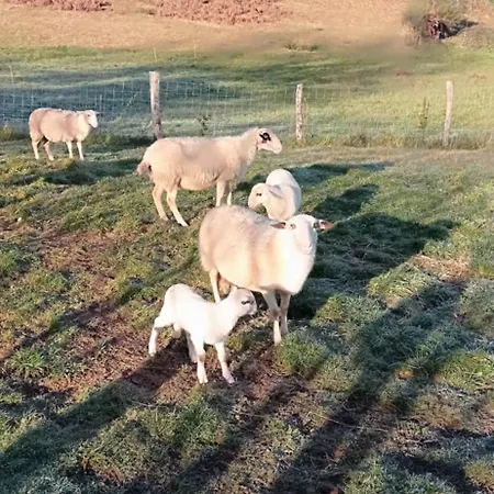 L'oree Du Bois - Maison Individuelle Avec Jacuzzi Prive