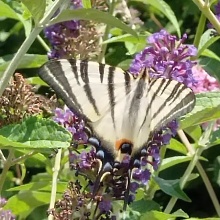 Σπίτι διακοπών L'oree Du Bois - Maison Individuelle Avec Jacuzzi Prive