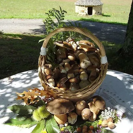 L'oree Du Bois - Maison Individuelle Avec Jacuzzi Prive * Frayssinet-le-Gélat