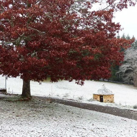 Σπίτι διακοπών L'oree Du Bois - Maison Individuelle Avec Jacuzzi Prive Frayssinet-le-Gélat