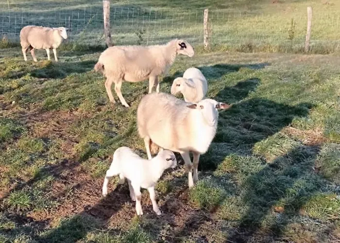 L'oree Du Bois - Maison Individuelle Avec Jacuzzi Prive