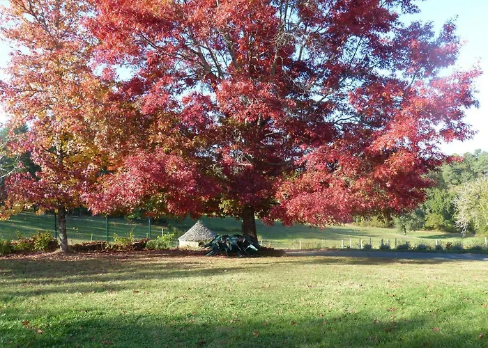L'oree Du Bois - Maison Individuelle Avec Jacuzzi Prive *