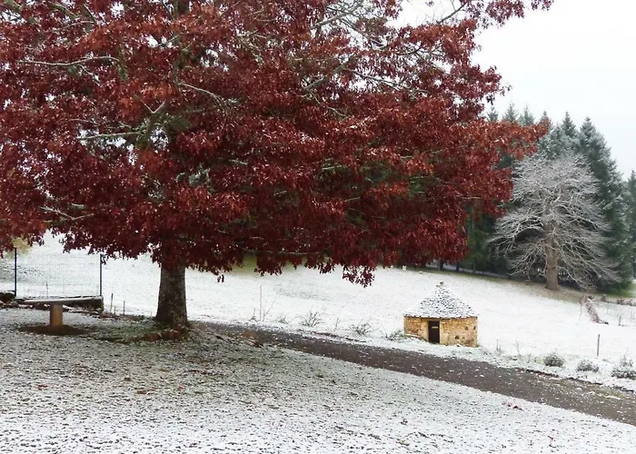 Ferienhaus L'oree Du Bois - Maison Individuelle Avec Jacuzzi Prive Frayssinet-le-Gélat